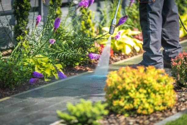 Best Winterizing Services  in Port St Lucie, FL